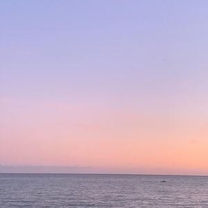 Meet your Posher, Eden